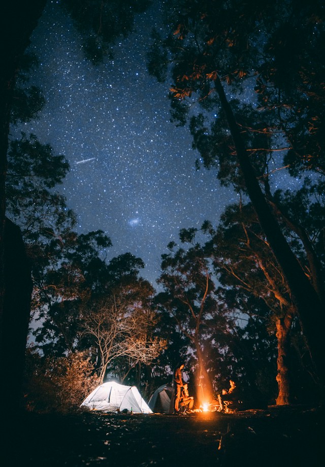 Säker Camping i skogen